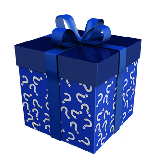 Large Mystery Gift